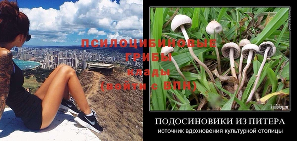 соль курить ск Алзамай