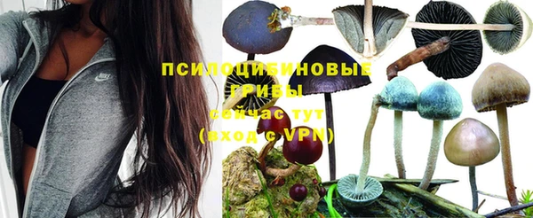 СК Алексин