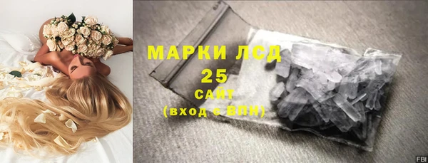 СК Алексин
